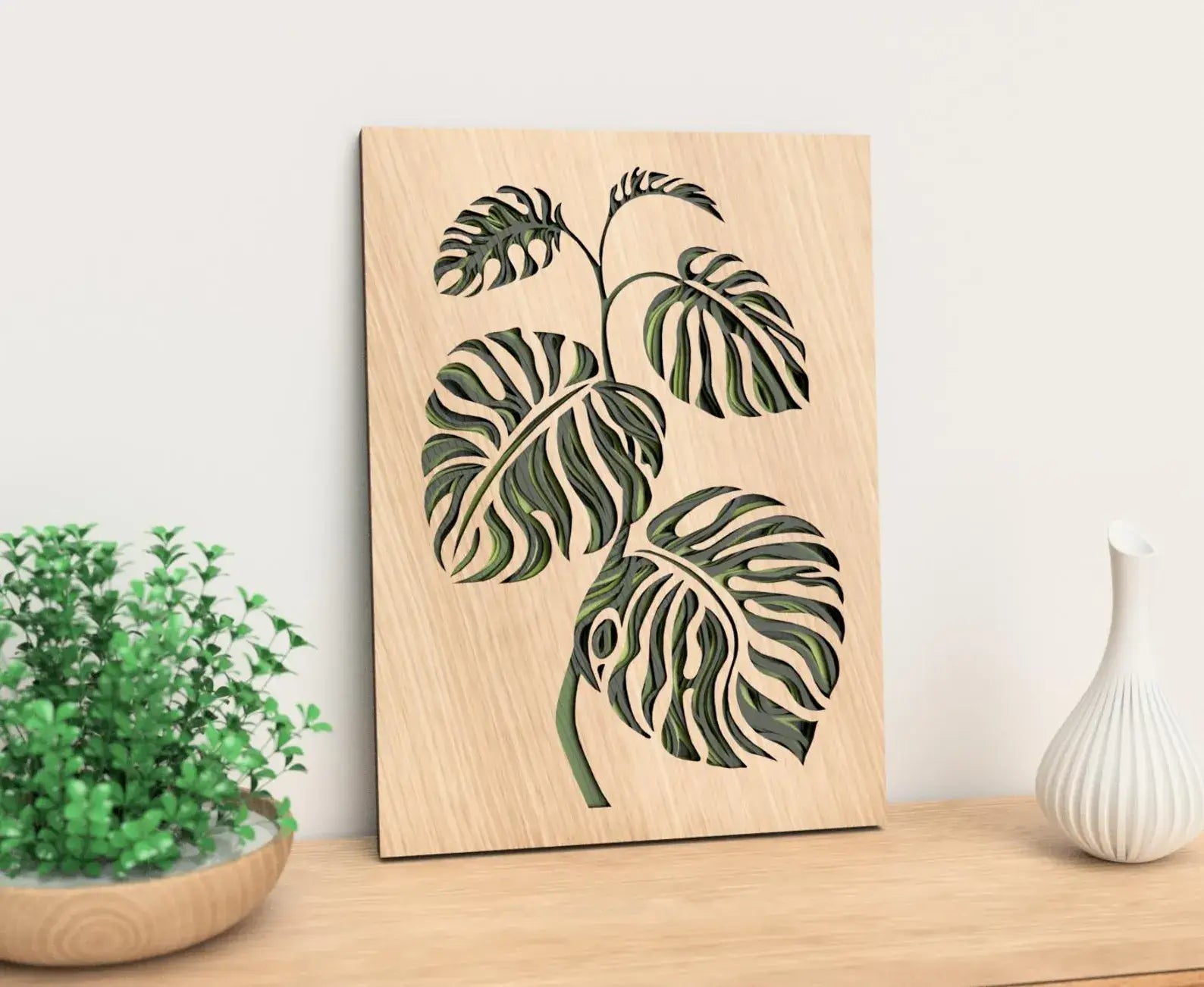 monstera aesthetic Monstera